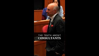 The Truth About Consultants