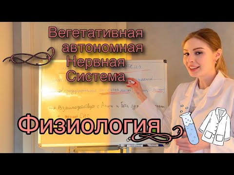 Вегетативная нервная система|Физиология|Метасимпатическая нервная система