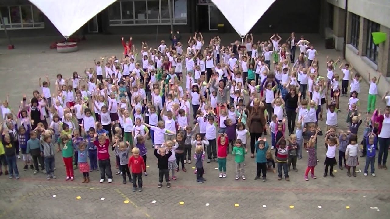 Comenius Sint-Jozef Eeklo (Avicii - wake me up)