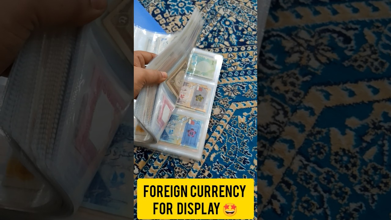 Quick Glimpse of My Money Collection 💸 | India + Global Notes | 