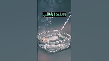 والراسخون في العلم…| سورة آل عمران القارئ عبدالرحمن مسعد #اكسبلور #تلاوة_هادئة