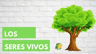 LOS SERES VIVOS 🌳🐣 Características en común - Resumen para niños