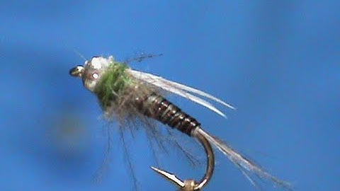 Beginner Fly Tying a Budding CDC Nymph with Jim Misiura