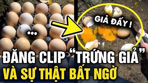 Đăng clip TRỨNG GÀ GIẢ có vị đắng bất thường, người đàn ông được dân mạng CHỈ RÕ LÝ DO | Tin 3 Phút