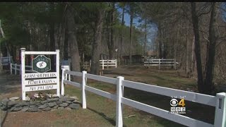 Halifax Kennel Under Quarantine After Parvovirus Outbreak