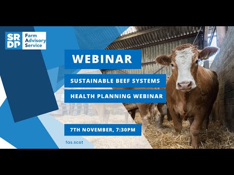 Sustainable Beef Systems: Health Planning