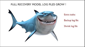 Why use Simple Recovery Model in SQL Server