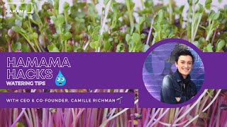 HAMAMA HACKS: Watering Tips & More with Camille!
