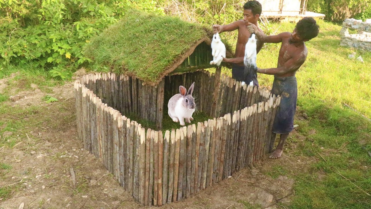 Build Rabbit House using wooden and mud - YouTube