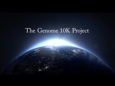 Video: Ptice Genome10K