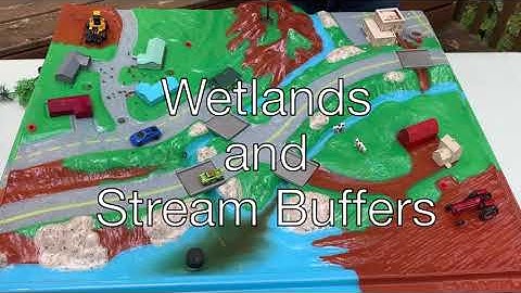 Wetlands and Stream Buffers - Nonpoint Source Pollution Enviroscape Model