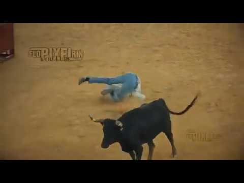 Funny Bull Fighting Gone Wrong - 2019 Update - Ouch That's Gotta Hurt ...