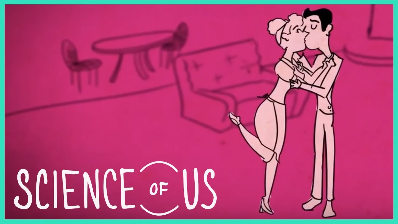 videos for cats 1 Secret for a Happy Marriage: 