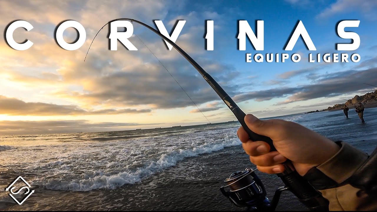 Corvinas con equipo de SPINNING ligero