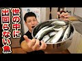 脂がない魚をにんにく入りのオイルにどっぷり漬け込んでみたらどうなる。はまゆうはサバ子を救いたい！