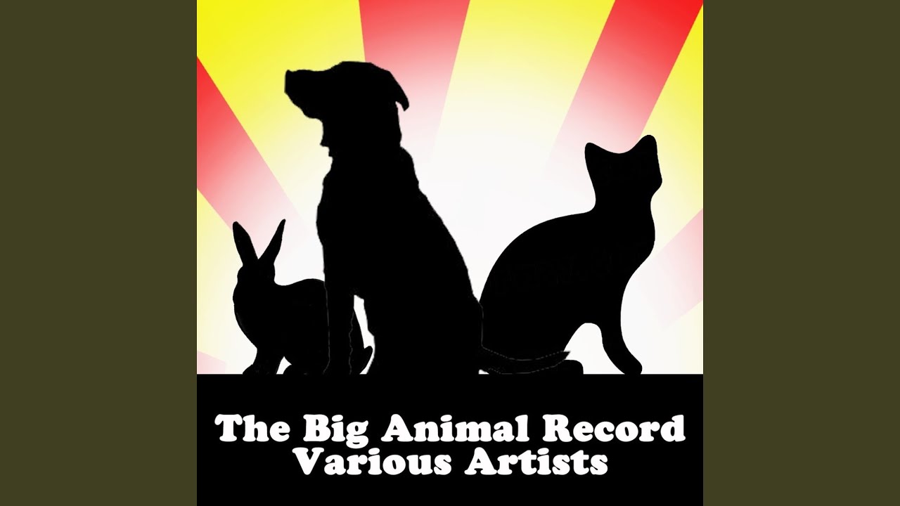 Animal records