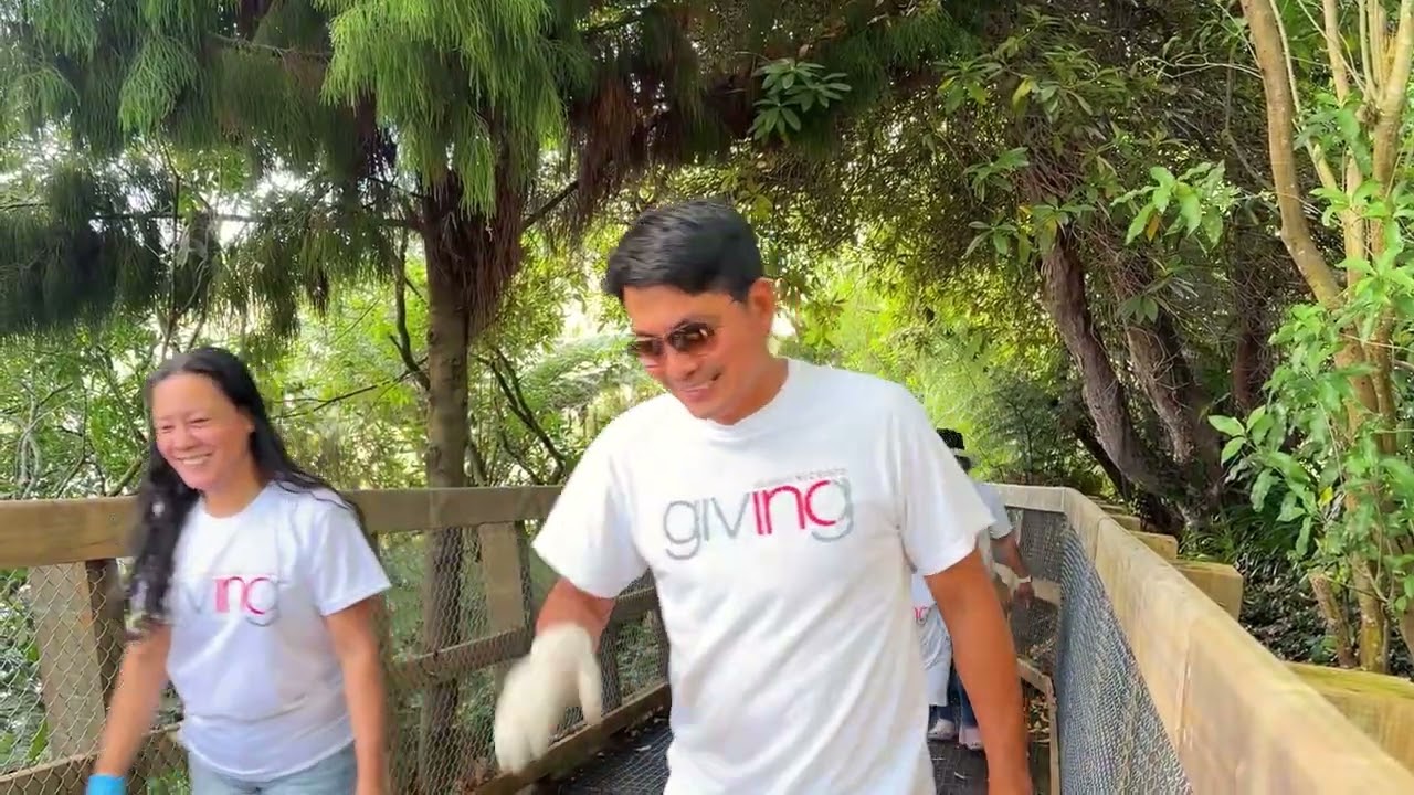 NEW ZEALAND NORTH | CLEANUP DRIVE