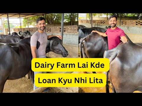 Why we never took loan for our dairy farm.