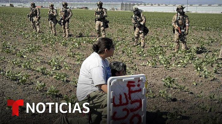 La crónica del fuerte operativo migratorio con gases lacrimógenos en un cultivo | Noticias Telemundo