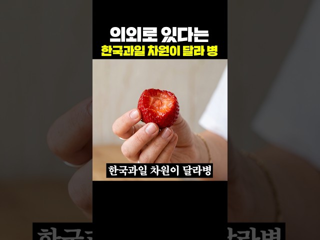의외로 있다는 한국과일 차원이 달라병