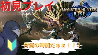 【モンスターハンターライズ】次の装備品揃えにウサギ狩りじゃーい！