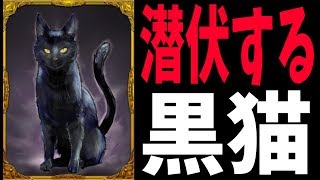 一番強い黒猫の立ち回りは【潜伏する黒猫】だ【KUN】