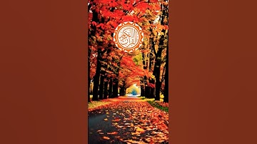 🏰🕌 surah nisa👰👰🌹 || سورة النساء ||🌹🌹 #viral #quranictranslation #quran #surhmulk #surah #الله