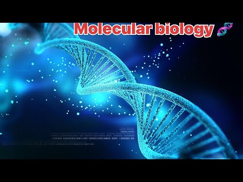 المحاضرة الاولى (بايو نظري)Molecular Biology! DNA&RNA Structure