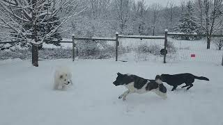 Winter storm fun! by Nanook Outdoors 47 views 4 months ago 41 seconds