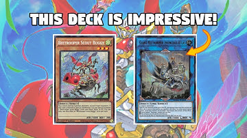 NEW! Beetrooper Deck Profile + COMBO! | September 2021