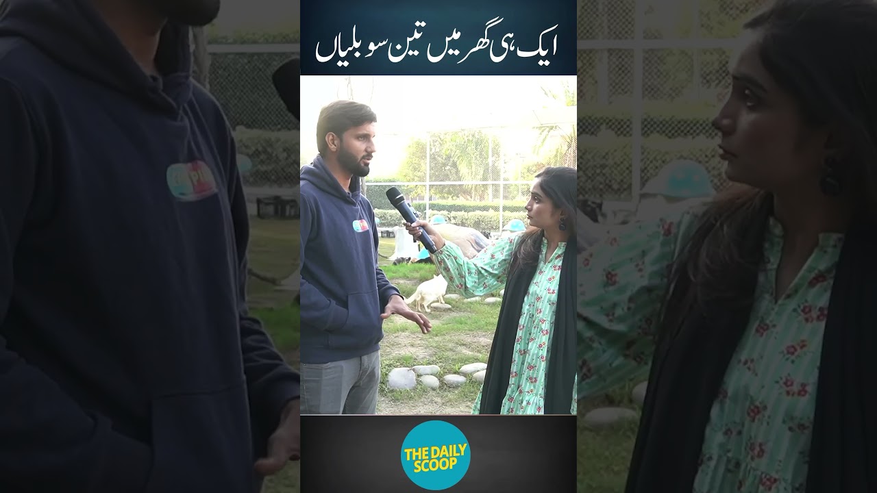 Lahore Ka Cat House - Jahan Hazaaron Billiyaan Rehti Hain