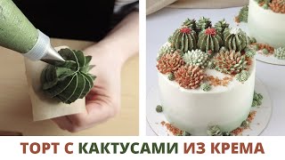 картинка: Украшаем торт кактусами и суккулентами из крема 🌵 Как сделать съедобные кактусы для декора торта 🍰