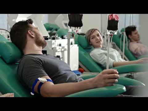 Dia mundial do doador de sangue (Programa Check Up - Emergência Já, Amor pra Sempre)