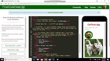 Taste the Bootstrap Button Color Rainbow free code camp