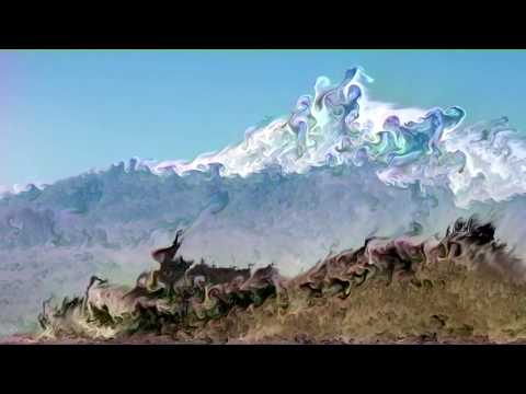💦 Fluid Simulation Painting 1 - Impressionism animation on picture shots (short test)