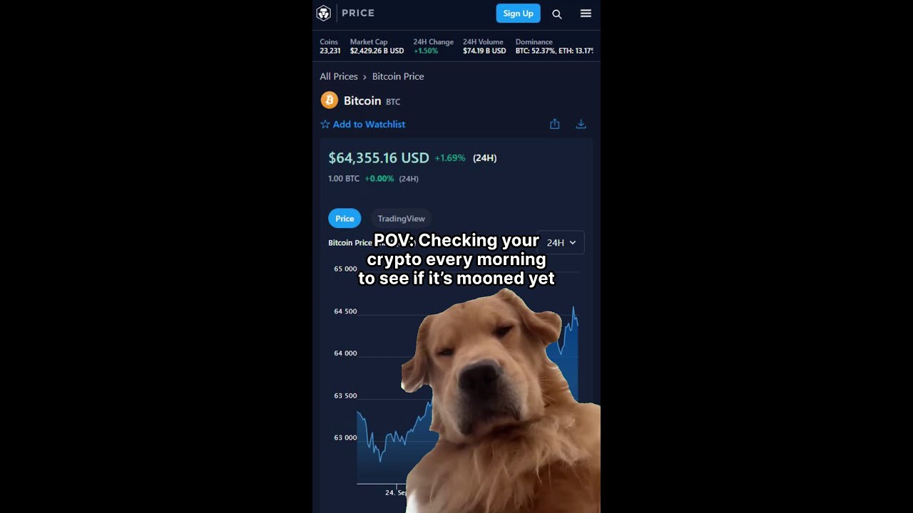 Checking crypto every morning