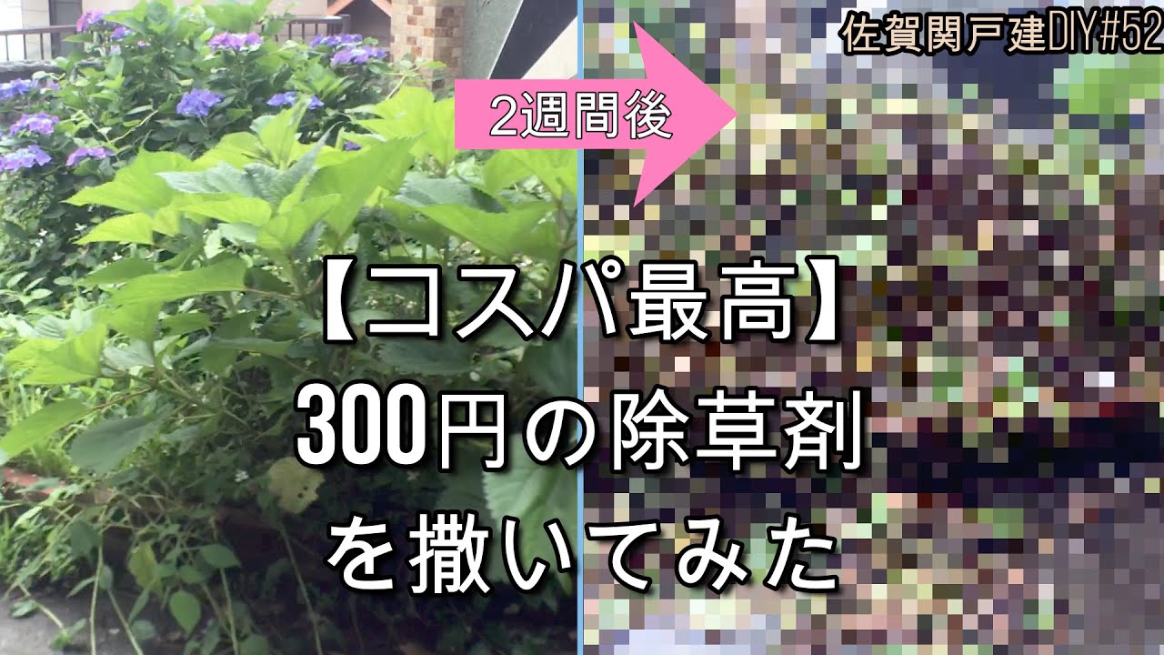 コスパ最高 300円の除草剤 グリホタッチ を撒いてみた 佐賀関戸建diy 52 Youtube
