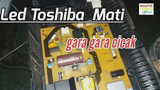 Led Toshiba Mati Total gara gara cicak
