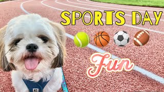 Sports Day with Chase the Shih Tzu | Summer Activities by Chase the Shih Tzu 3,018 views 2 years ago 4 minutes, 58 seconds