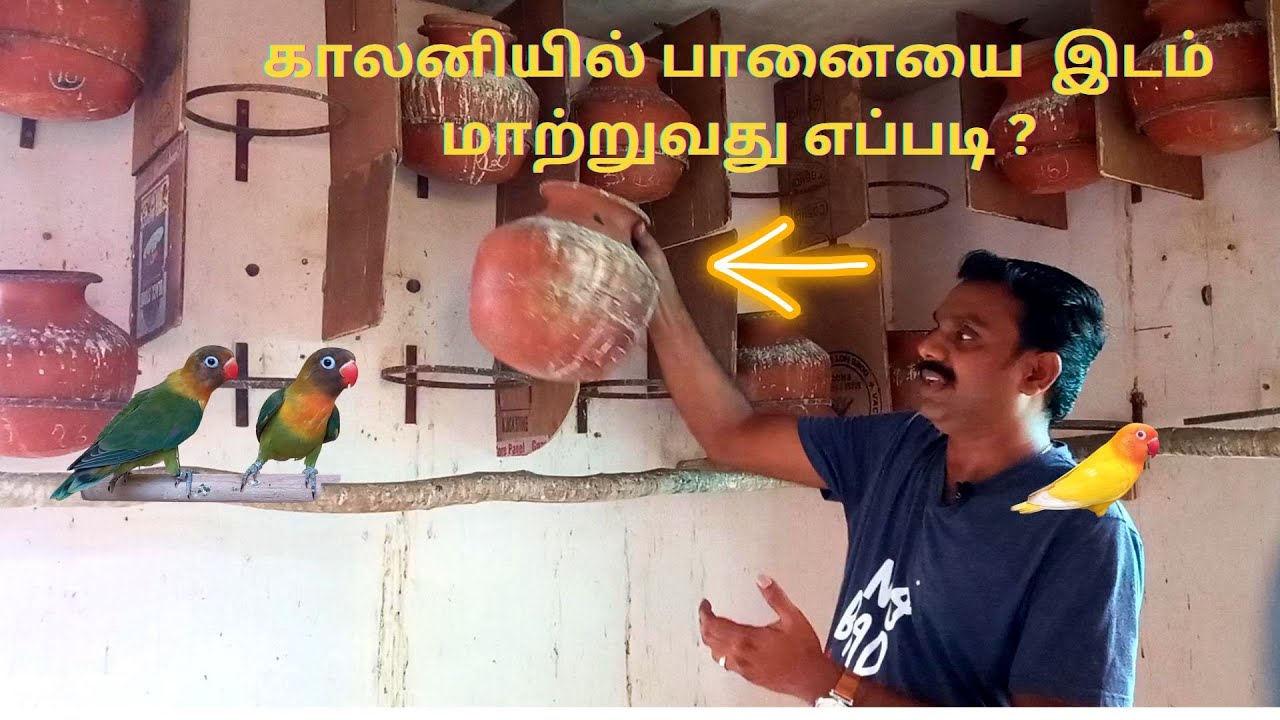How to Move POT / BOX place in Colony Breeding | காலனியில் பானையை எப்படி இடம் மாற்றுவது
