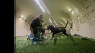 Stimulus Control - position changes