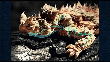 Nanotechnology video presentation