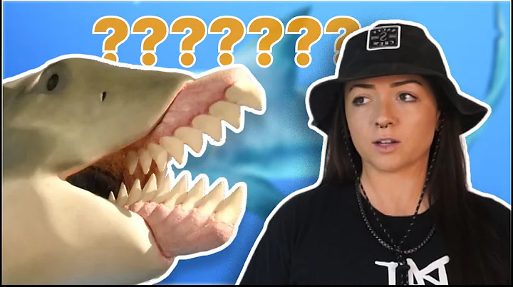 Prehistoric "sharks" were f***ed up | Lindsay Nikole