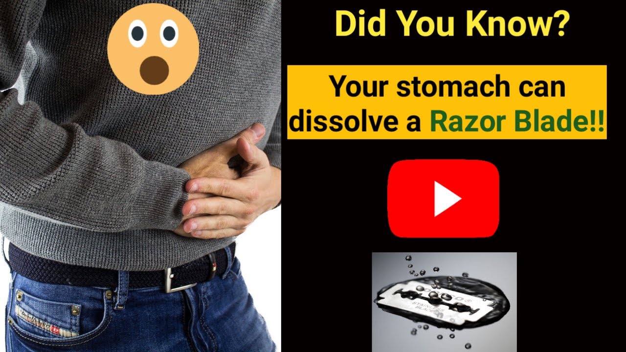 आपका पेट रेजर ब्लेड को पिघला सकता है |Your stomach can dissolve a Razor ...
