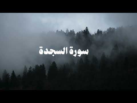 سورة السجدة كاملة | الشيخ محمد عبادة
