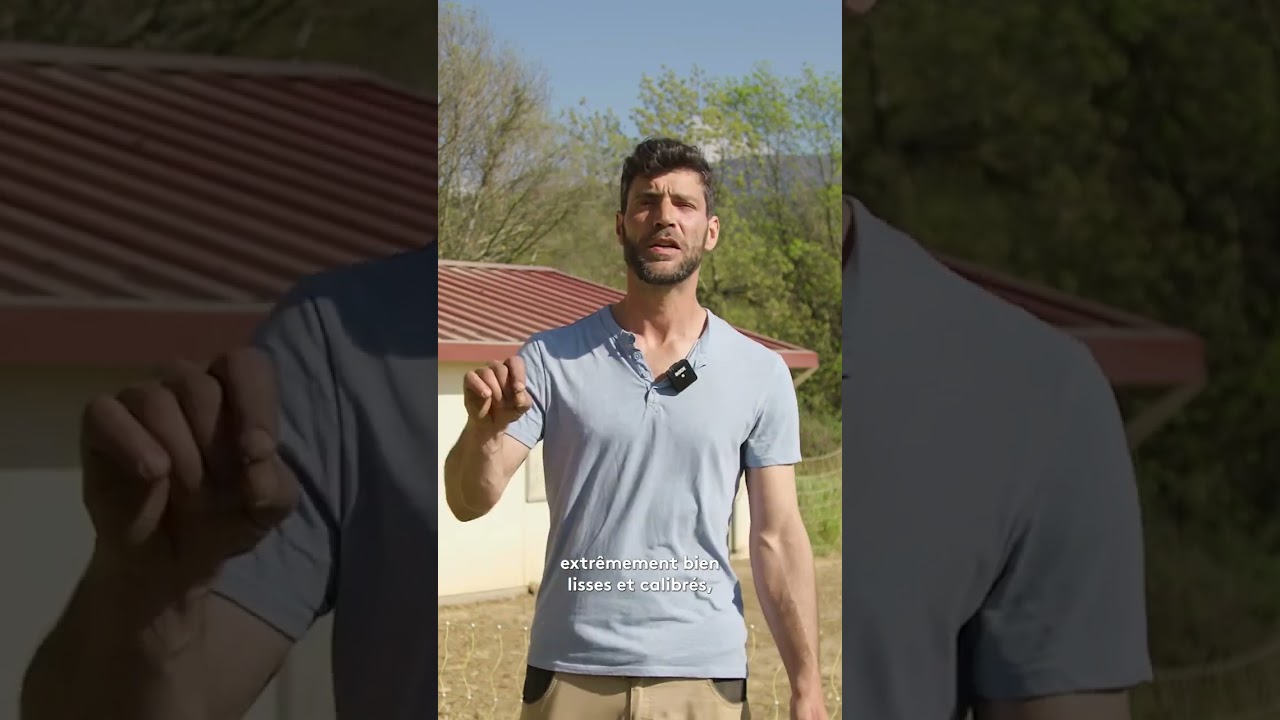 Grâce au département Mathieu élève les meilleures volailles de France