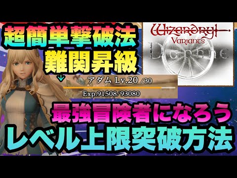 ウィザードリィ　ヴァリアンツ　ダフネ　イベント先行　認識票メタルタグ　無等級 Wizardry Variants Daphne】認識票メタルタグ：無等級【DRECOM