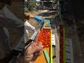Marble Run ☆ Elegant Catherine's Marble Run③