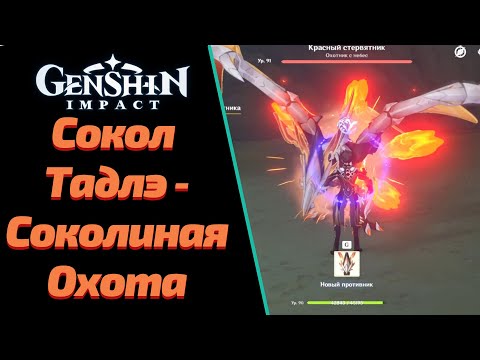 СОКОЛ ТАДЛЭ |