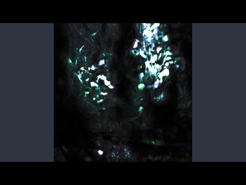 WARYKID, delyphia - мысли